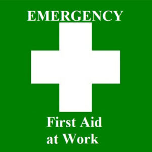 https://www.first4training.uk/wp-content/uploads/2022/01/Emergency-First-Aid-at-Work-For-Irish-Audiences-300x300.jpg